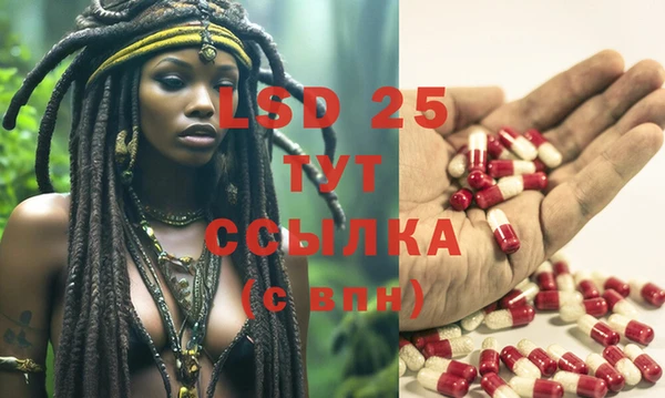 спиды Снежногорск