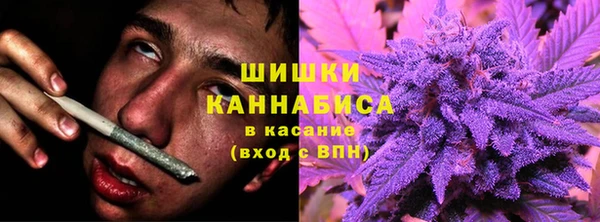 гидра Снежинск