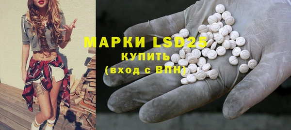 гидра Снежинск
