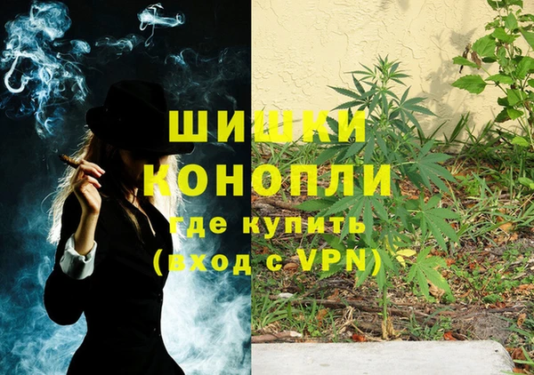 гидра Снежинск