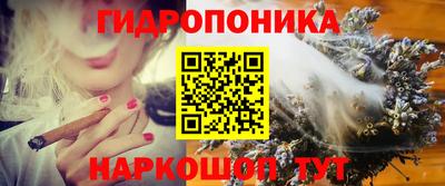 амф Кимры