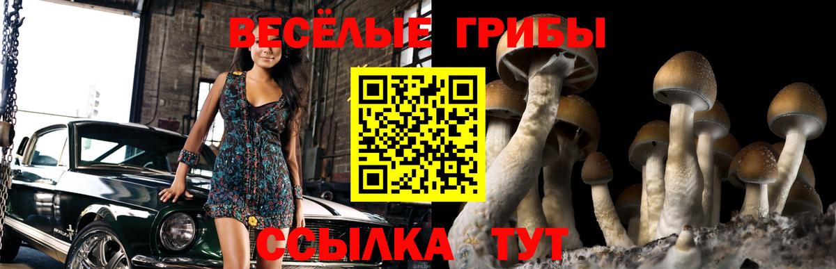 Псилоцибиновые грибы ЛСД Тихорецк